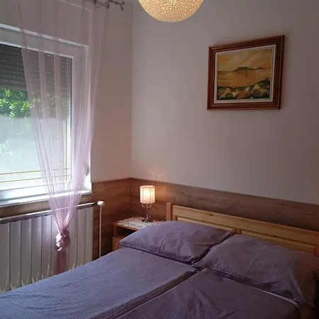Apartment Petra Vendeghaz *